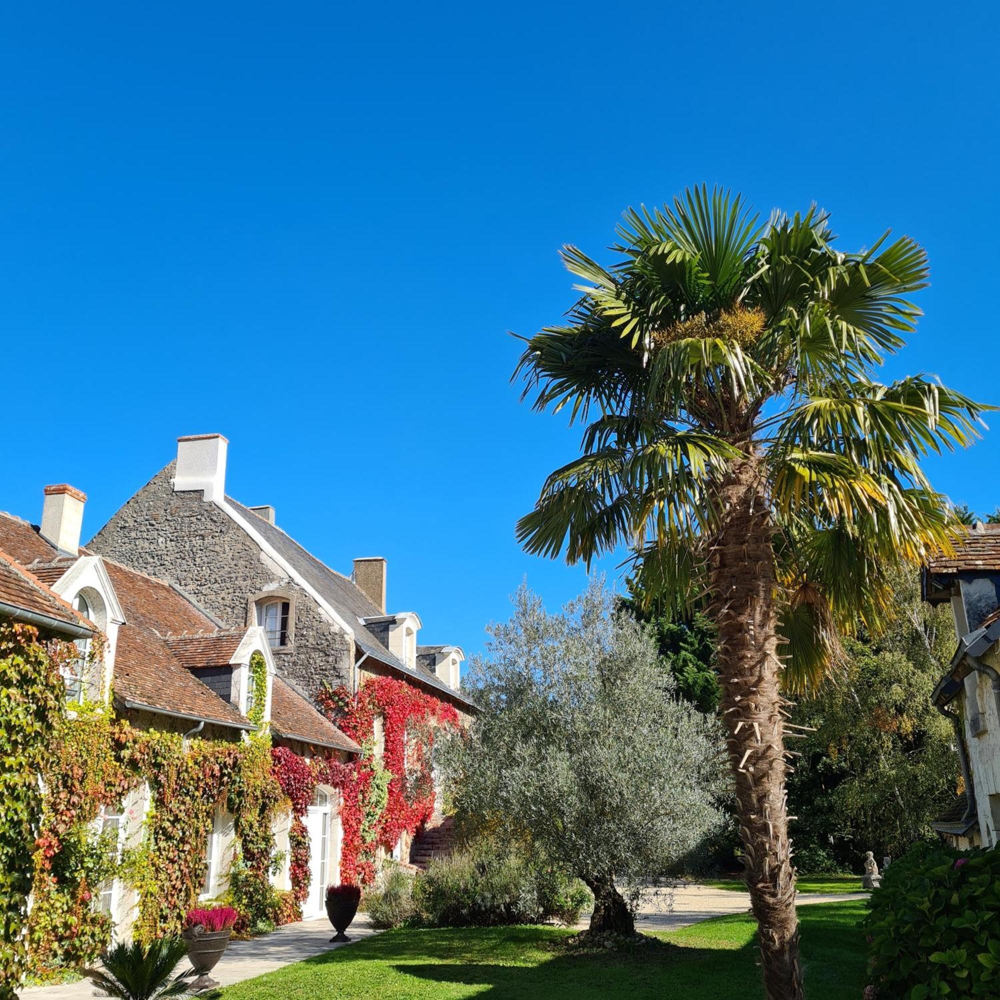 Domaine De La Blonnerie Bed & Breakfast Feings  Exterior photo
