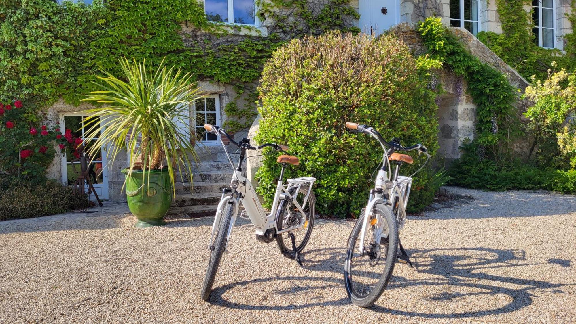 Domaine De La Blonnerie Bed & Breakfast Feings  Exterior photo